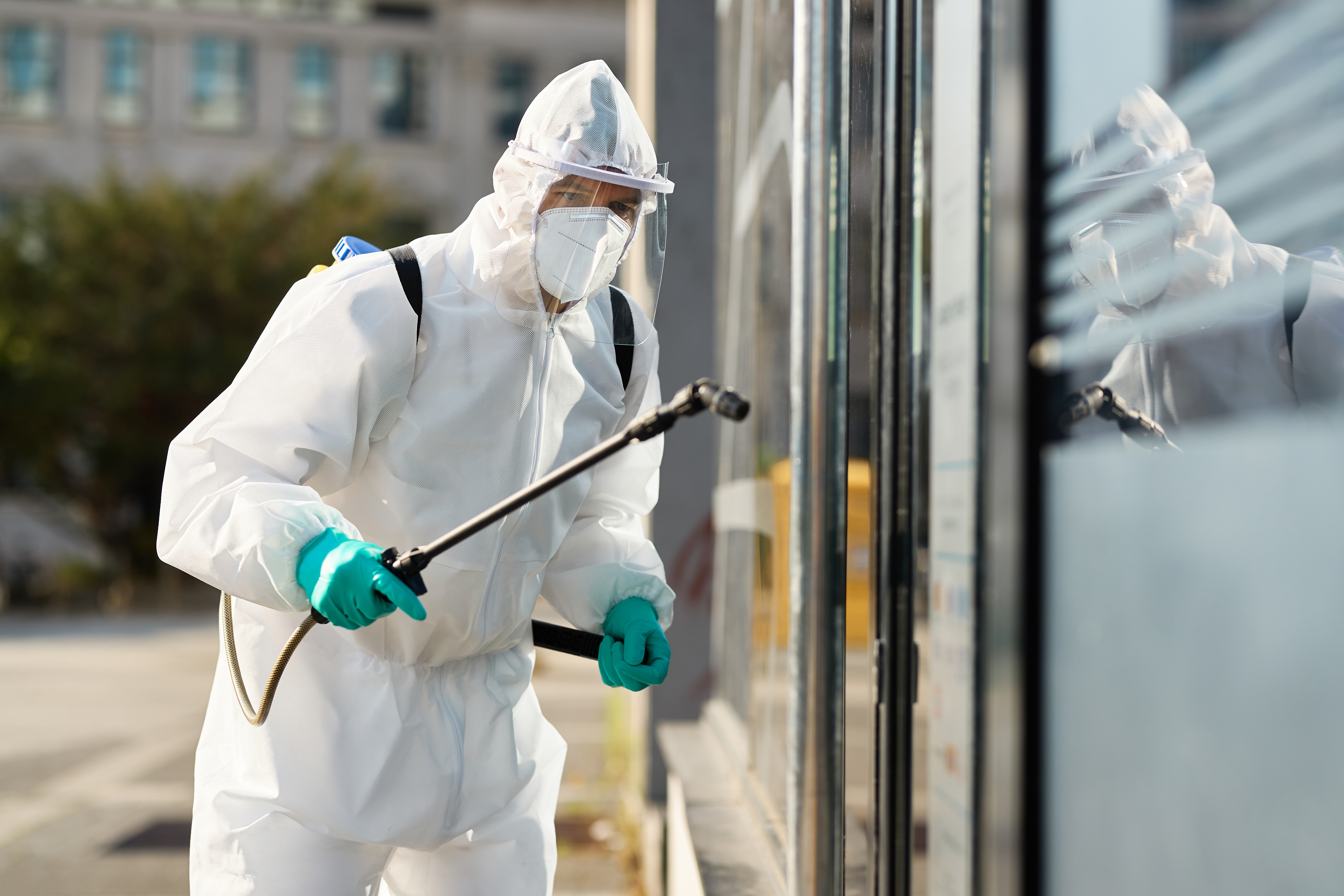 Pest Control Image